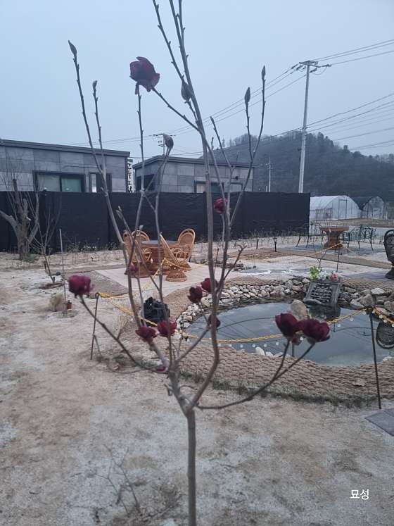 그대별처럼 카페 & 펍 사진 6