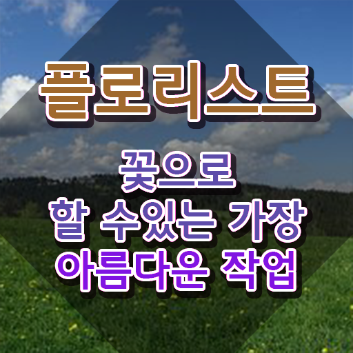  꽃꽂이 클래스 , 플로리스트 자격증 취득한 과정 요점정리