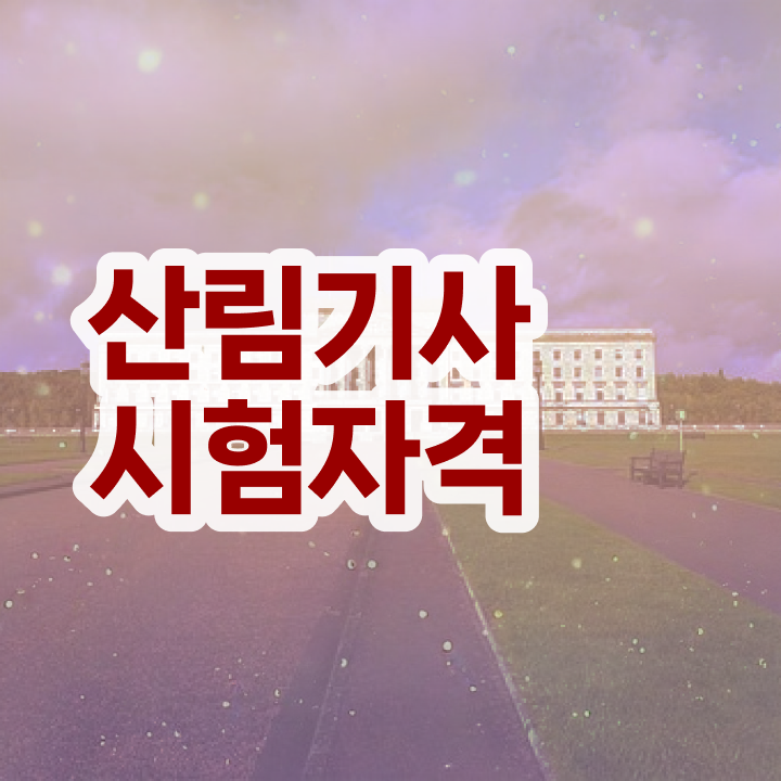  산림 기사교재 산림기사 취득자격 인강만 듣고 편하게 완료한 후기