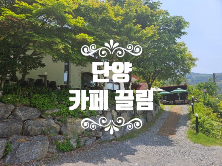  단양여행 카페 끌림 양식식당