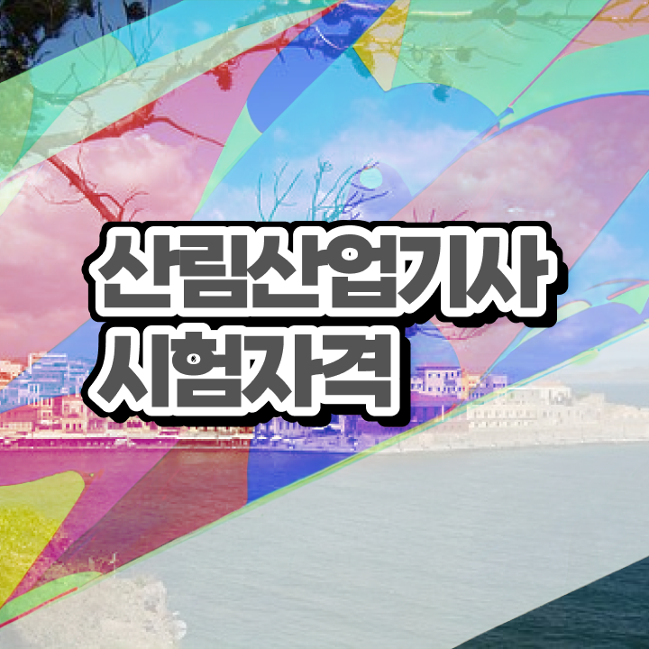  산림산업기사 준비 산림산업기사 시험자격 온라인으로 1학기 만에 완료한 방법