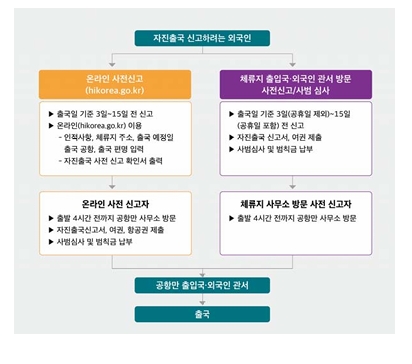  불법체류자 등 자진신고 제도