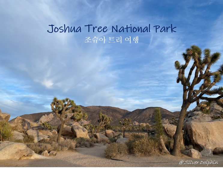  미국여행 캘리포니아 조슈아트리 국립공원 (Joshua Tree National Park)  여행정보, 날씨정보, 숙박정보
