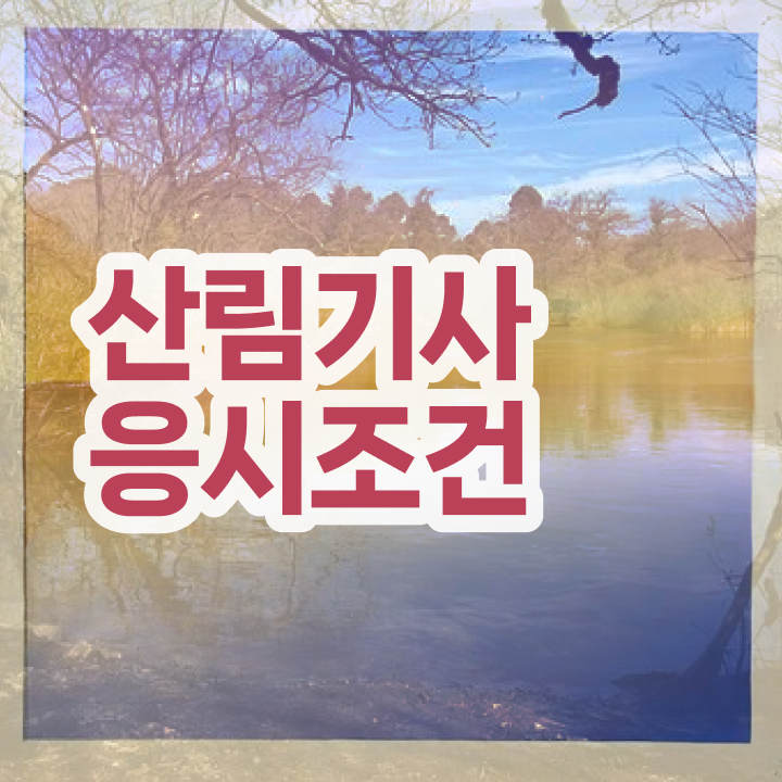  산림 기사필기 산림기사 시험응시조건 학점은행제로 편하게 완료한 후기
