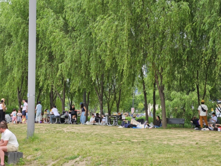  한강나들이 소풍 그리고 주말