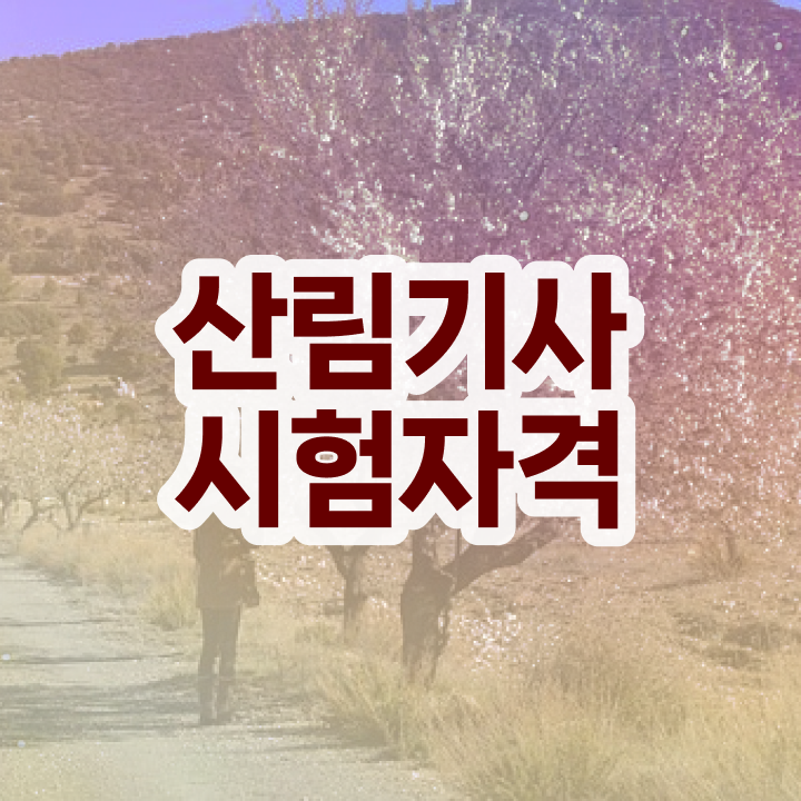  산림기사 응시자격확인 산림기사 자격요건 온라인 수업으로 4달 안에 성공한 노하우