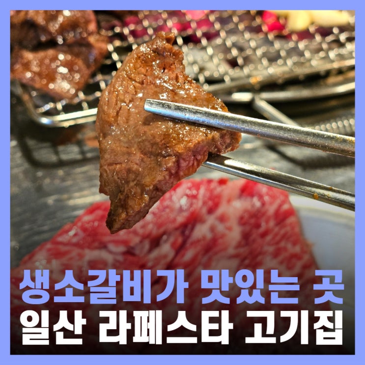  일산 호수공원 맛집 생소갈비가 맛있는 남영동양문