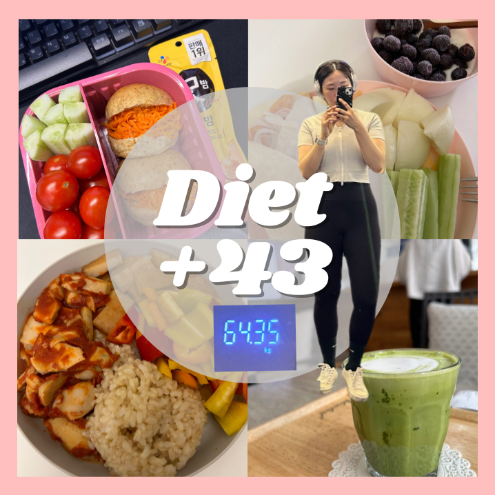  다이어트 | 43일 | 기록 | 다시시작 | 다이어트식단 | 눈바디 | 공복몸무게 | 하체루틴 | 간식 | 이제그만 | 여름준비 | 시작