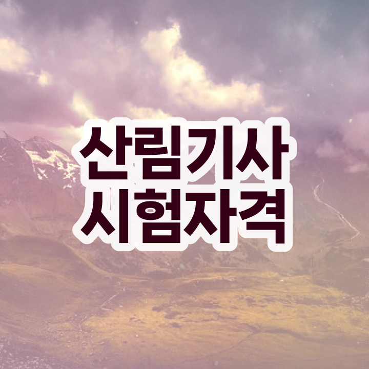  산림 기사필기 산림기사 취득자격 인강만 듣고 단기간에 성공한 노하우
