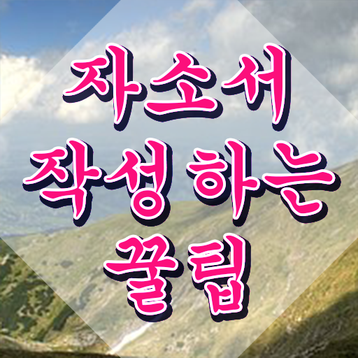  버스기사자기소개서 , 자기소개서지도사 자격증 1급,2급 동시에 준비한 방법 , 전망