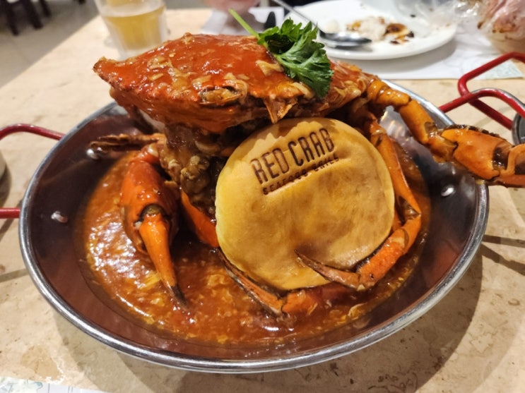  세부 막탄 맛집 레드크랩 예약 메뉴 가격 내돈내산 솔직후기