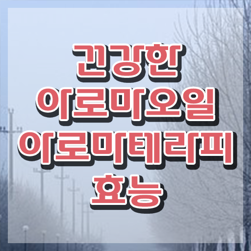  아로마뷰티diy지도사 취업 , 아로마뷰티DIY지도사 자격증 합격한 후기 핵심 정보 가득