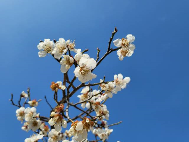 젼니 일상 조각 모음 사진첩 털이 젼니 일상 조각 모음 사진첩 털이