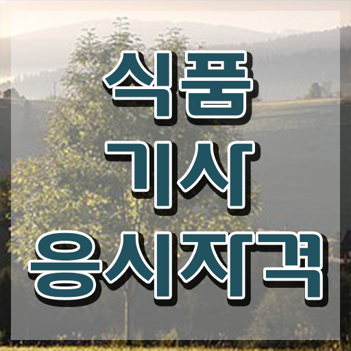  식품기사 2024 식품기사 시험자격 인강으로 빠르게 완료한 전략