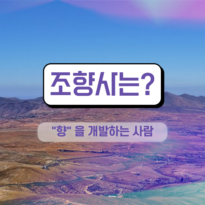  단기 자격증 추천 , 조향사 경력없는 사람도 온라인 교육원에서 초단기 준비했던 비법