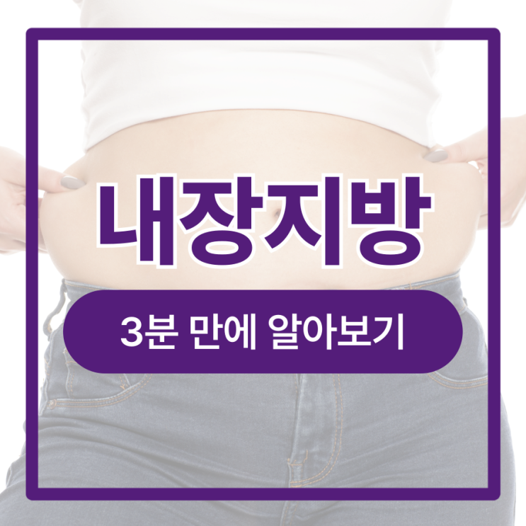  피하지방 내장지방 뜻 빼는법 운동 음식