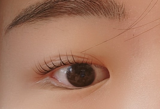  금천구속눈썹펌 맛집 설레다뷰티에서 설레다펌으로 무쌍눈 속눈썹펌, 블랙틴팅까지