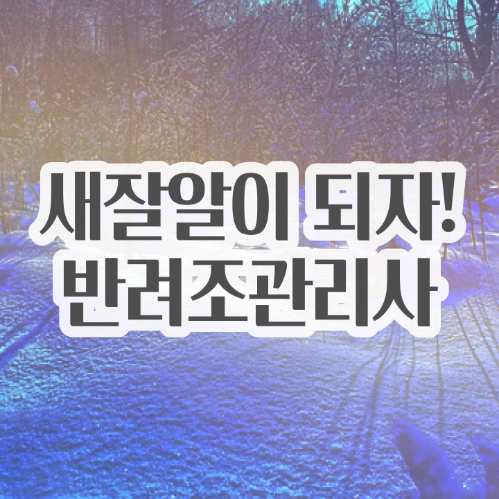  앵무새 분양가 , 반려조관리사 자격증 합격한 팁 확인하세요
