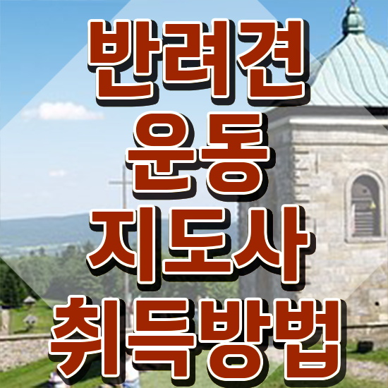  반려견 비용 , 반려견운동지도사 합격 비법 , 역할과 하는일