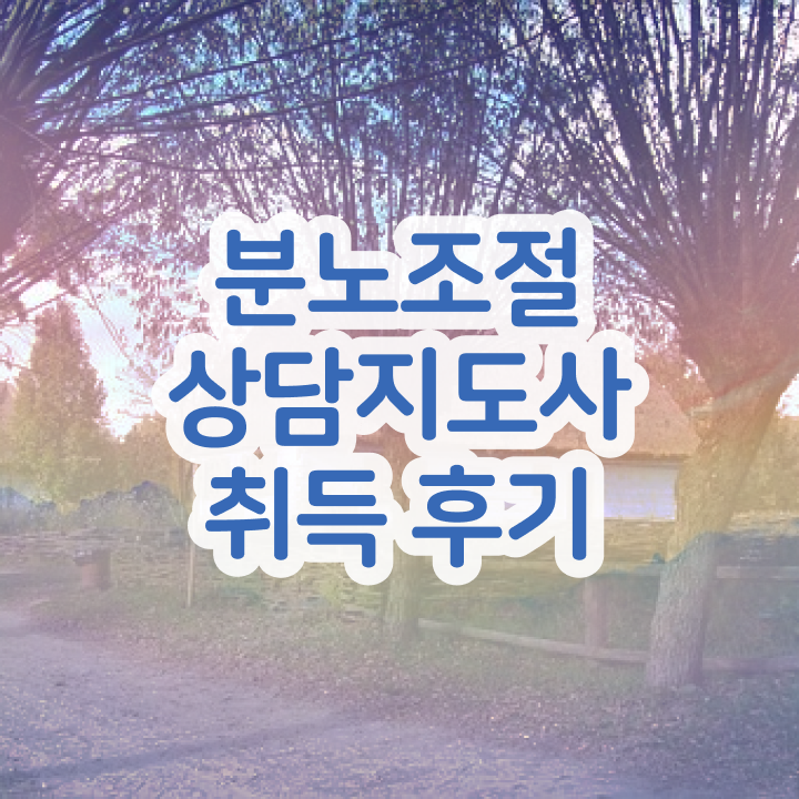  대학생 자격증 추천 , 분노조절상담지도사 온라인 수업만으로 간편하게 완료한 전략
