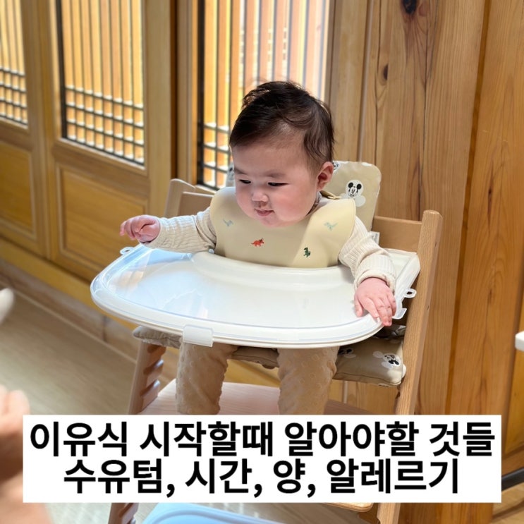  이유식 시작할때 알아야할것들, 수유텀, 시간, 양, 알레르기 검사