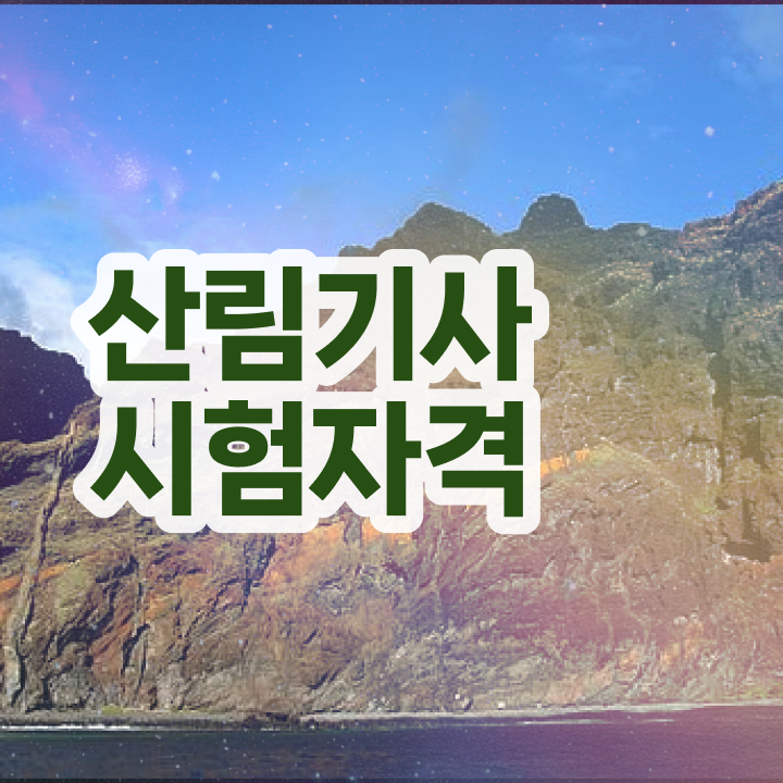  산림 기사전망 산림기사 시험응시조건 학점은행제로 간단하게 준비한 팁