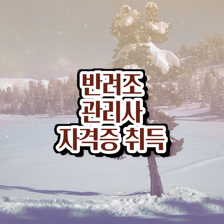  코뉴어 앵무새 종류 , 반려조관리사 자격증 1달 만에 취득한 방법 궁금하셨다면