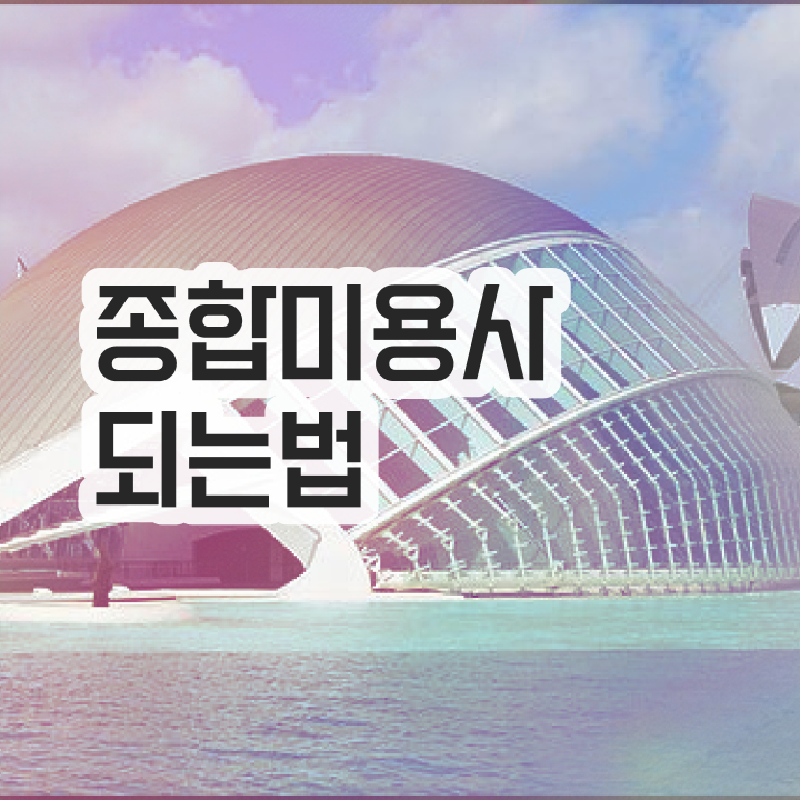  피부과 피부관리사 , 피부관리사 준비 할 때, 준비해야 하는 자격증 직장과 병행하며 미용사종합자격증 간단하게