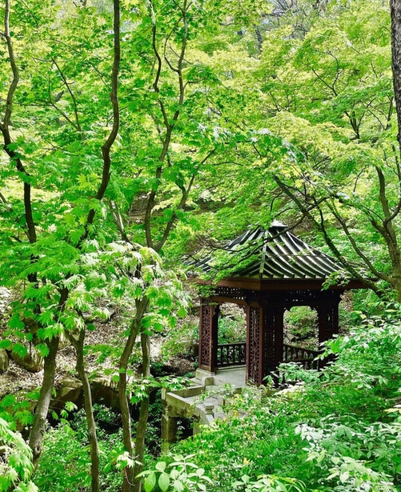 석파정 서울미술관 재오픈♡ 김환기 천경자 유영국 신사임당 전시 주차정보 얼리버드 : 네이버 블로그
