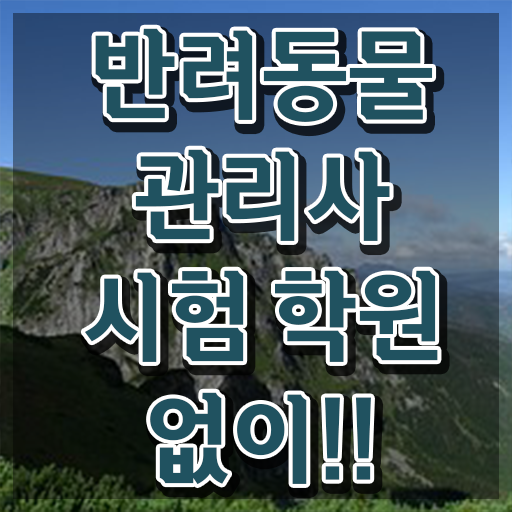  반려견운동지도사 , 반려동물관리사 자격증 온라인 교육으로 합격한 후기 , 온라인 무료강의