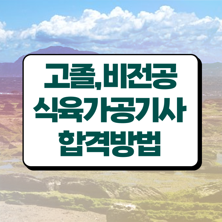  식육가공기사 직업 식육가공기사 취득자격 독학으로 4달 안에 완료한 방법