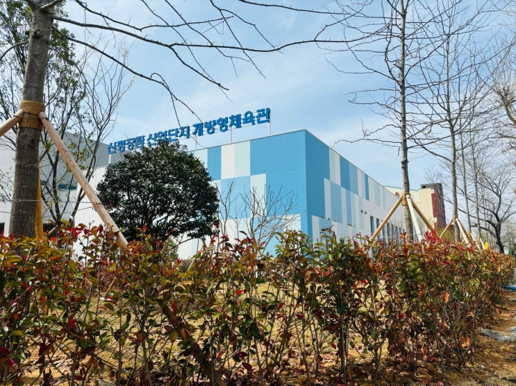 ️️<b>신평장림</b> 산업단지 개방형<b>체육관</b> 개관 및 접수 일정... 
