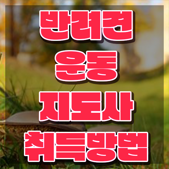  40대여성자격증 , 관련학위 없어도 반려견운동지도사 취득할 수 있어요