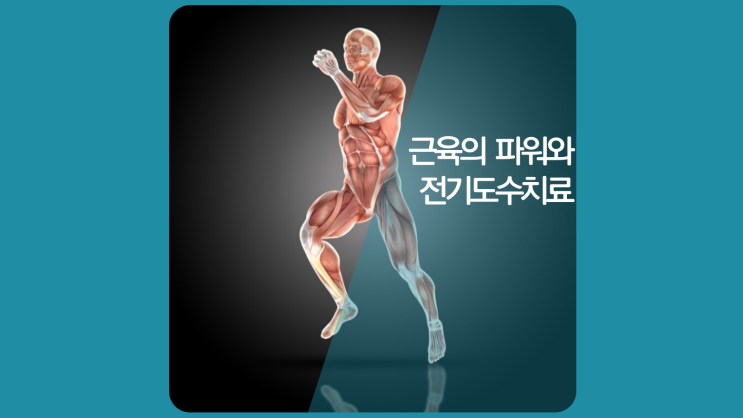  미추홀구도수치료 근육(골격근)치료의 중요성에 대해