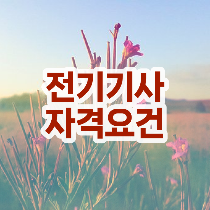  전기기사 필기 기출 전기기사 시험자격 온라인으로 1학기에 준비한 후기
