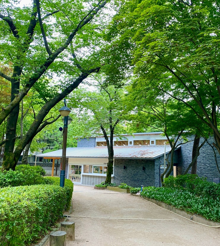  [서울 종로구] 삼청공원 숲속도서관 유아숲체험장 주차장 가는법 / 삼청동 북촌 데이트 가볼만한 곳 이색도서관