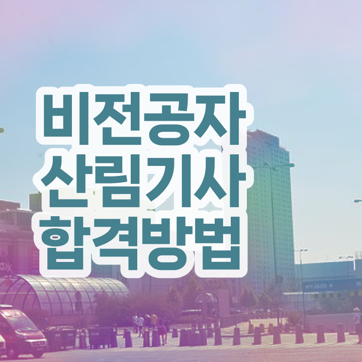  산림기사 전망 산림기사 응시자격 독학으로 편하게 준비한 전략