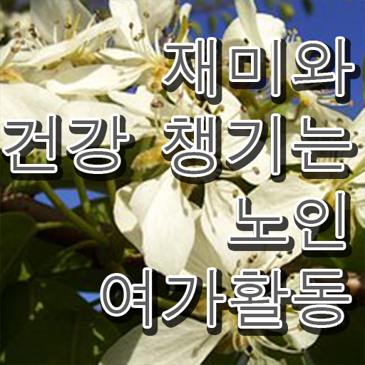  노인여가활동지도사 무료 강의 , 직장인도 쉽게 노인여가활동지도사 취득 노하우 확인해보세요