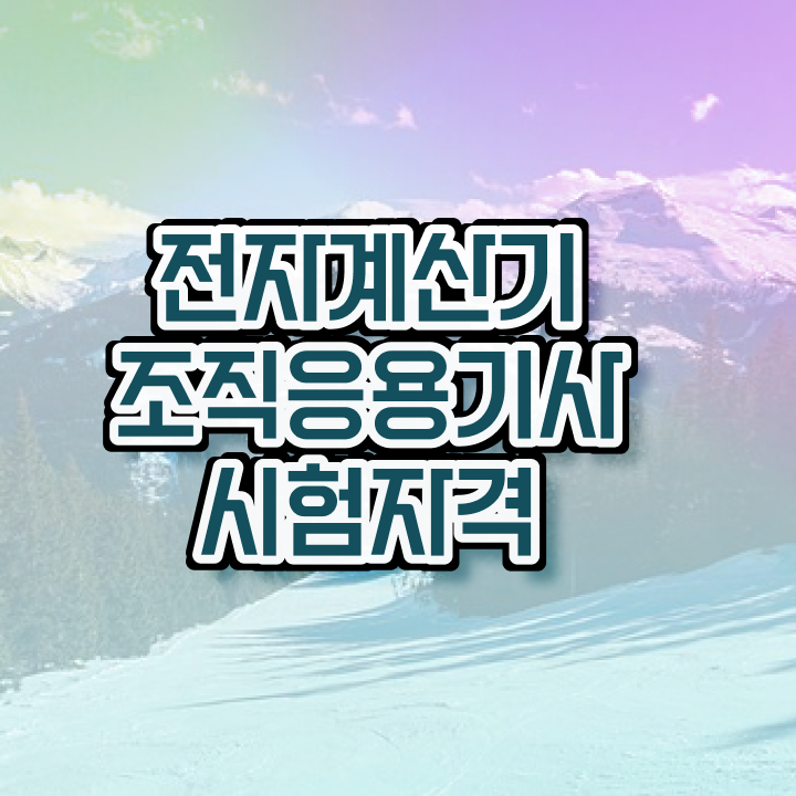  전자계산기조직응용기사 필기시험일정 전자계산기조직응용기사 응시조건 독학으로 5달만에 준비한 팁