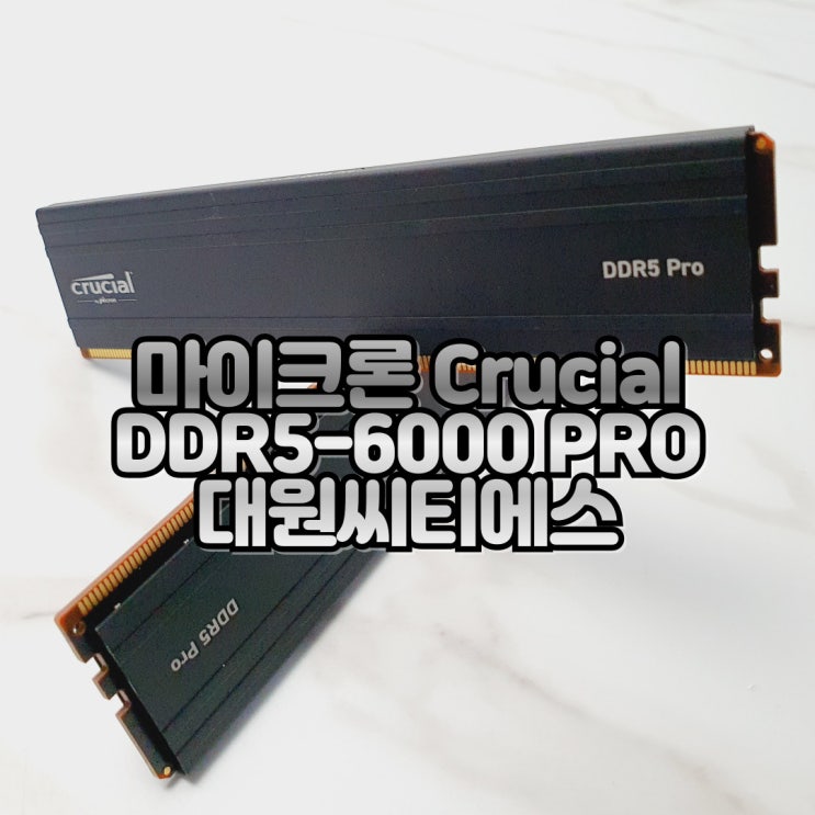  램 방열판 부착된 컴퓨터 메모리 DDR5 램 추천, 마이크론 Crucial DDR5-6000 PRO 48기가 대원씨티에스