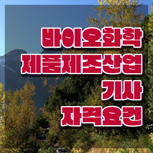  바이오화학제품제조산업기사 시험응시자격 독학으로 15주 동안 완료한 팁