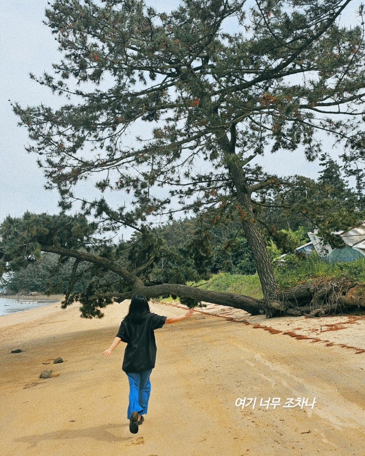  낭만 가득한 태안 쏠플레오 펜션에서 갯벌체험과 낚시