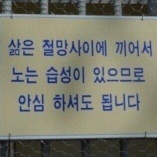  이웃님들 죄송합니다........ ㅠ.ㅠ