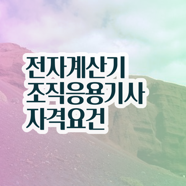  전자계산기조직응용기사 응시자격 학점은행제로 5개월 만에 성공한 과정