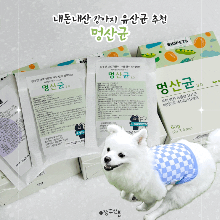 잘먹잘싸 신봄 내돈내산 강아지 유산균 추천 멍산균 잘먹잘싸 신봄 내돈내산 강아지 유산균 추천 멍산균