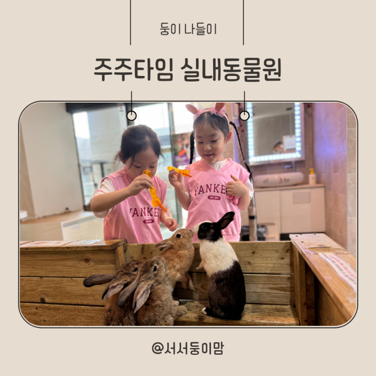  부산 금정구 아이와 가볼만한곳 토끼 앵무새 체험 주주타임 실내동물원