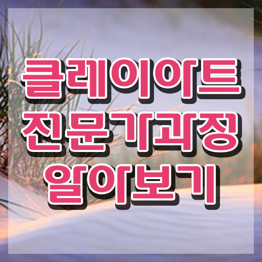  탱탱 아이클레이 , 클레이아트전문가 자격증 1급,2급 동시에 취득한 정보 전격분석