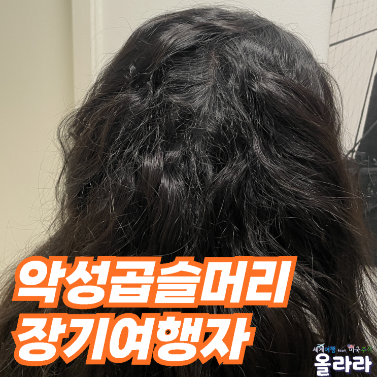  손상 악성곱슬머리 교정 복구 매직 필요 여행준비물
