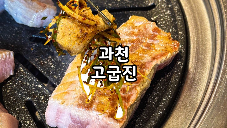  정부과천청사역 맛집 고기집 고굽진