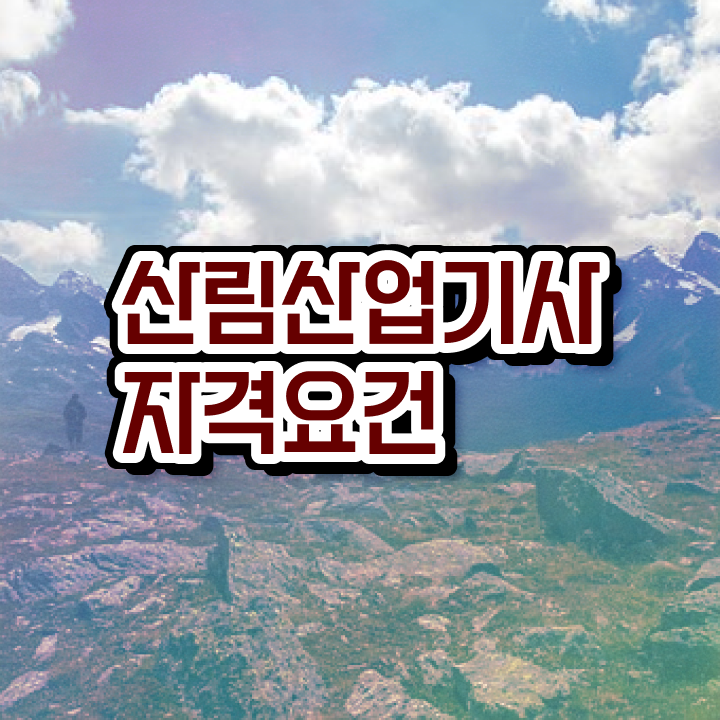  산림산업기사 필기 산림산업기사 응시조건 독학으로 편하게 준비한 전략